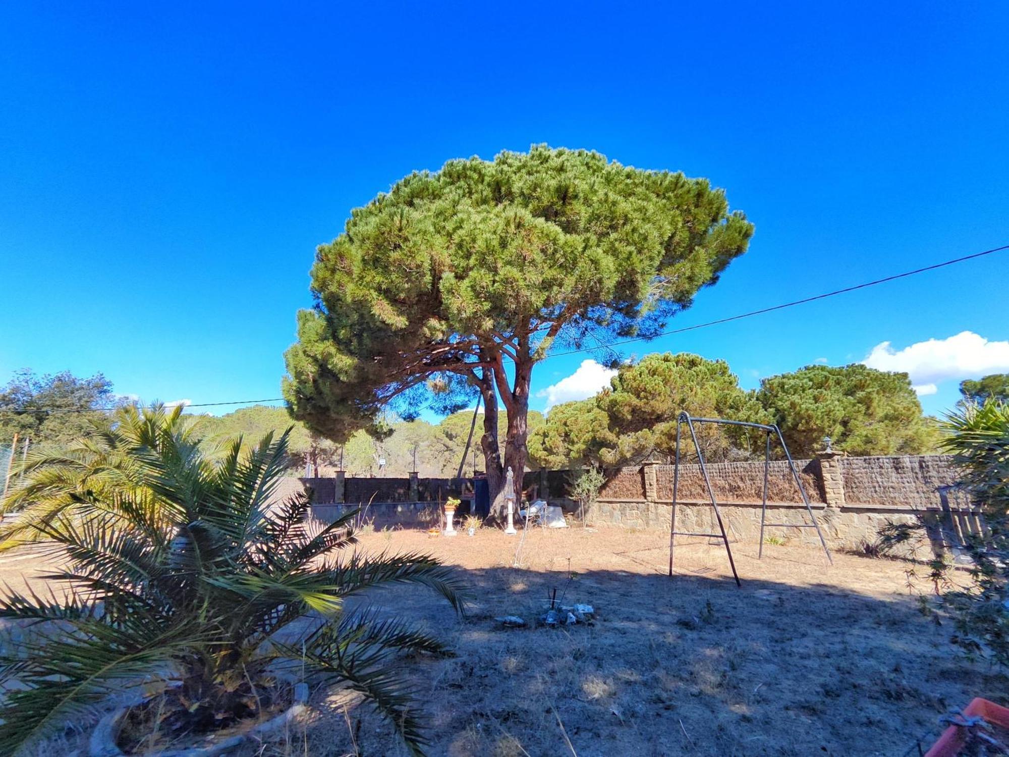 Casa Con Piscina Privada En Sant Pol De Mar Villa Exteriör bild